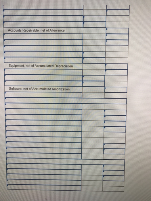 Accounts Receivable, net of Allowance Equipment, net of Accumulated Depreciation Software, net of Accumulated Amortization