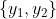 \{y_1,y_2\}