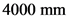 4000 mm

