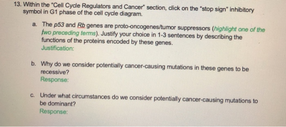 13. Within the Cell Cycle Regulators and Cancer section, click on the stop sign inhibitory symbol in G1 phase of the cell