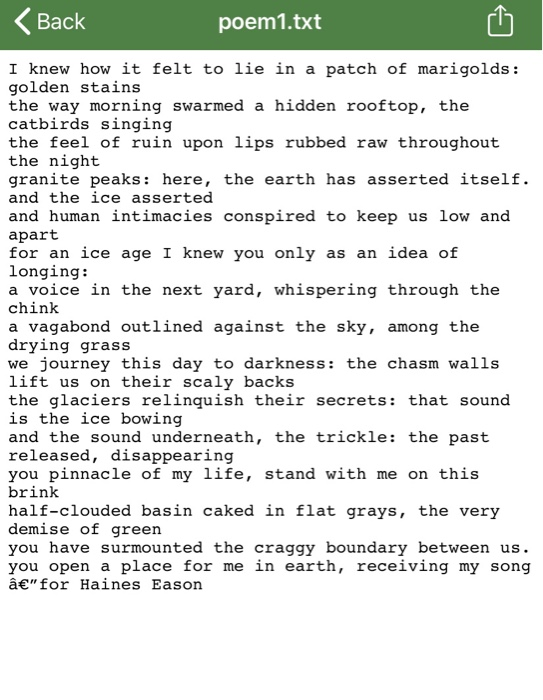Back poem1.txt I knew how it felt to lie in a patch of marigolds: golden stains the way morning swarmed a hidden rooftop, the