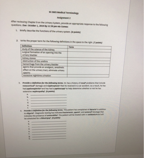 2503 Medical Terminology Assignment 2 After reviewing Chapters on the Urinary System provide an appropriate response to the f