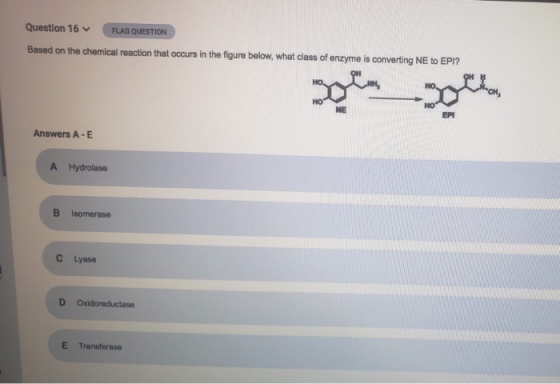 Question 16 FLAG QUESTION Based on the chemical reaction that occurs in the figure below, what class of enzyme is converting