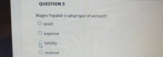 QUESTION 5 Wages Payable is what type of account? O asset O expense liability O revenue