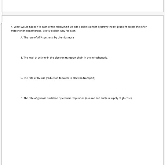 4. What would happen to each of the following if we add a chemical that destroys the H+ gradient across the inner mitochondri