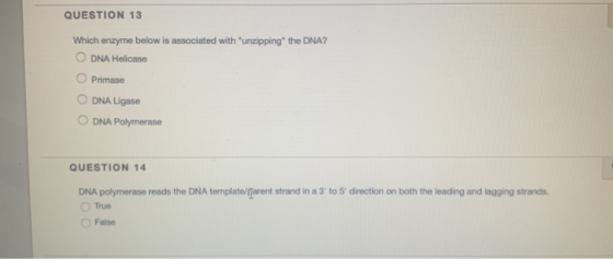 QUESTION 13 Which enzyme below is associated with unzipping the DNA? ODNA Helicase Primase O DNA Ligase O DNA Polymerase QU