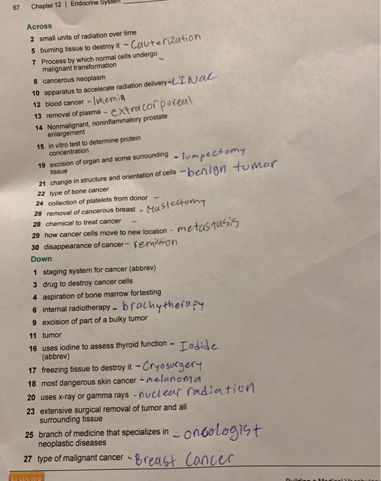 67 Chapter 12 | Endocrine System Across 2 small units of radiation over time 5 burning tissue to destroy it - Cauterization 7