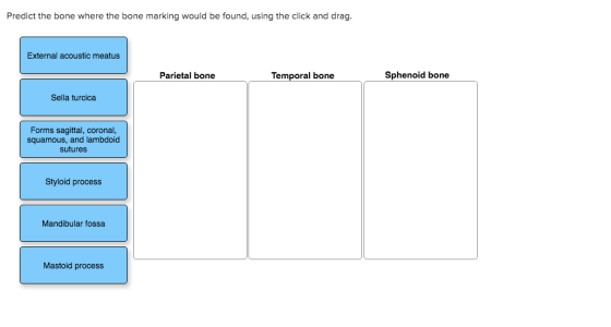 Predict the bone where the bone marking would be found, using the click and drag. External acoustic meatus Parietal bone Temp