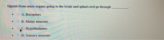 Signals from sense organs going to the brain and spinal cord go through • • A. Receptors B. Motor neurons C. Hypothalamus • •