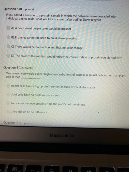 Question 5 (0.5 points) If you added a enzyme to a protein sample in which the polymers were degraded into individual amino a