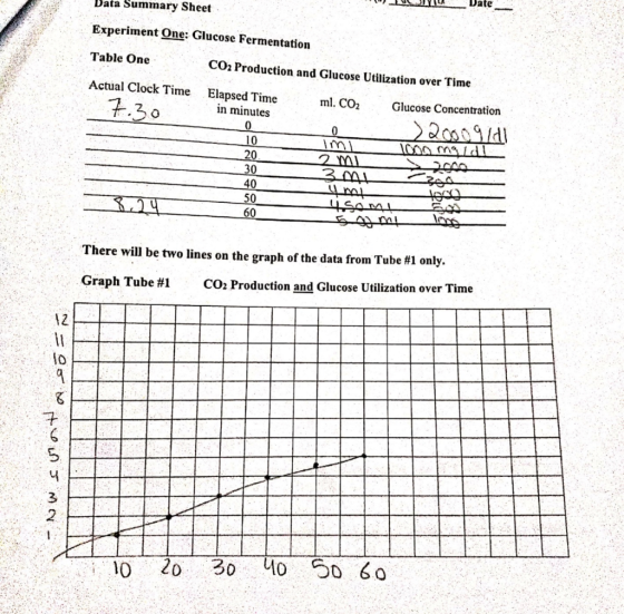 Data Summary Sheet Date Experiment One: Glucose Fermentation Table One CO2 Production and Glucose Utilization over Time Actua