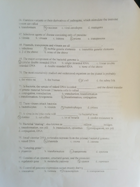 66. Harmless variants or their derivatives of pathogens, which stimulate the immune system are called a. transformers b) vaccines c. viral envelopes d. mutagens 67. Iniectious agents of disease consisting only of proteins: a. viroidsb. viruses c. introns prions e. transposons 68. Plasmids, transposons and viruses are all a. infectious d. 2 of the above e.none of the above mobile genetic elements c. immobile genetic elements The major component of the bacterial genome is ircular double stranded DNA stranded DNA oi b. single stranded RNA near double d. double stranded RNA e. none of the above 70. The most extensively studied and understood organism on the planet is probably a. the white ratb. the human E coli d. the zebra fish 71. In bacteria, the uptake of naked DNA is called of genetic material between 2 bacteria ceils is called a. conjugation, transduction c.transformation, lysogenesis , and the direct transfer b. transduction, transformation ransformation, conjugation 72. These viruses attack bacteria: . bacteriocytes b. viroids bacteriophages d. prions 73. A virus in its lytic cycle will its bacterial host. destroyb. not effect c. be of benefit d. confer resistance to 74. Bacterial mating, also known as a, transformation, sex pili b. transduction, episomes d. conjugation, DNA utilizes bridges. ⓒconjugation, sex pili 75. Smalil circular DNA molecules separate from the primary bacterial genome 1. naked DNA plasmids c. exons d. introns 76. Jumping genes: n. plasmids b. transformation (. transposons d. operons 77. Consists of an operator, structural genes, and the promoter @ operon d. repressor 78. Control of genomic expression occurs mainly during b. meiosis ーーーーーーーーーー ーー ー ーーーー ー ー ranslation transcription d. transposition