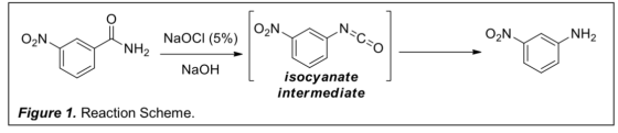 NaOCI (5%) N ON NH2 NH2 NaOH isocyanate intermediate Figure 1. Reaction Scheme.