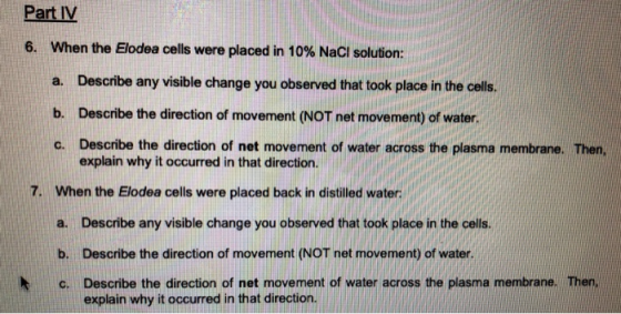 Part IV 6. When the Elodea cells were placed in 10% NaCl solution: a. Describe any visible change you observed that took plac