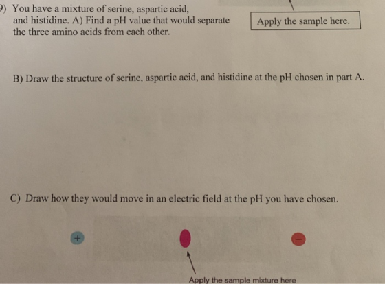 ) You have a mixture of serine, aspartic acid, and histidine. A) Find a pH value that would separateApply the sample here. th