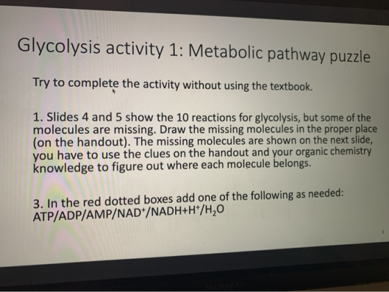 Glycolysis activity 1: Metabolic pathway puzzle Try to complete the activity without using the textbook. 1. Slides 4 and 5 sh