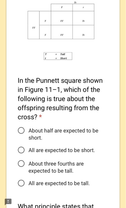 Tall In the Punnett square shown in Figure 11-1, w
