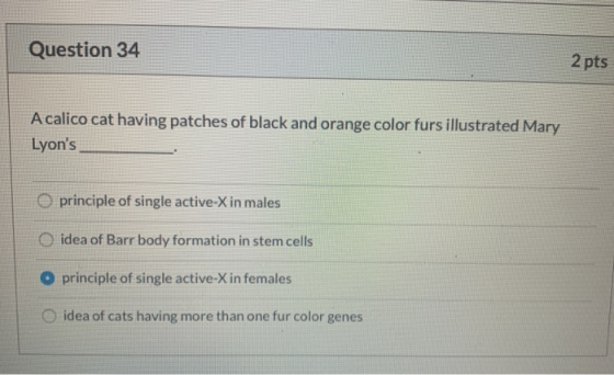 Question 34 2 pts A calico cat having patches of black and orange color furs illustrated Mary Lyons O principle of single ac