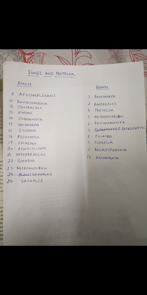FUNGI AND PROTOZOA Across Down 1- ANAMORPH 3. APICOMPLEXANS 10 BASIDIOMYCOTA 1a CONTRACTILE 13. HYPHAE 14. ZYGOMYCOTA 15. HOL