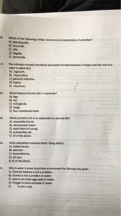Which of the following cellular structures is char