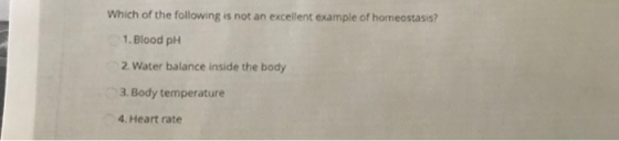 Which of the following is not an excellent example of homeostasis? 1. Blood pH 2. Water balance inside the body 3. Body tempe