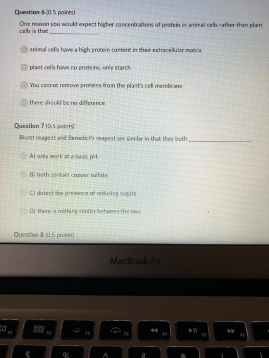 Question 6 (0.5 points) One reason you would expect higher concentrations of protein in animal cells rather than plant animal