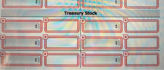 Treasury Stock
