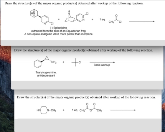 Draw the structure(s) of the major organic product(s) obtained after workup of the following reaction. HN Cl (--Epibatidine e