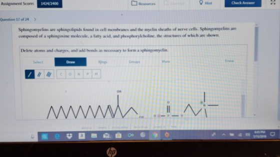 Assignment Score: 1424/2400 Resources Check Answer Question 17 of 24 > Sphingomyelins are sphingolipids found in cell membran