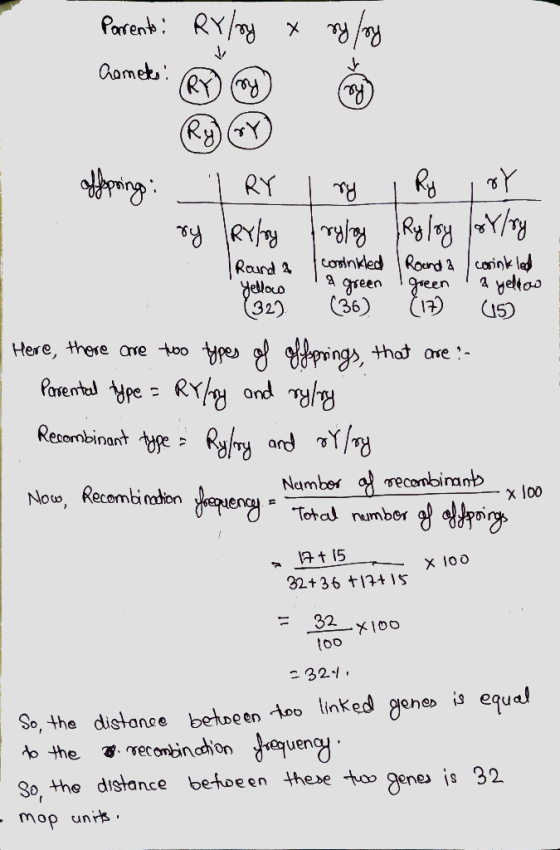 Parents RY/oy x ry/oy J Comets: (RY) (my ry (Ry) Round 2 affopping: RY Ro rY ry ry Ryleg {rylay Rylsy /oY/ry I consenkled |