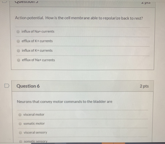 Question z pus Action potential. How is the cell membrane able to repolarize back to rest? influx of Na+ currents efflux of K