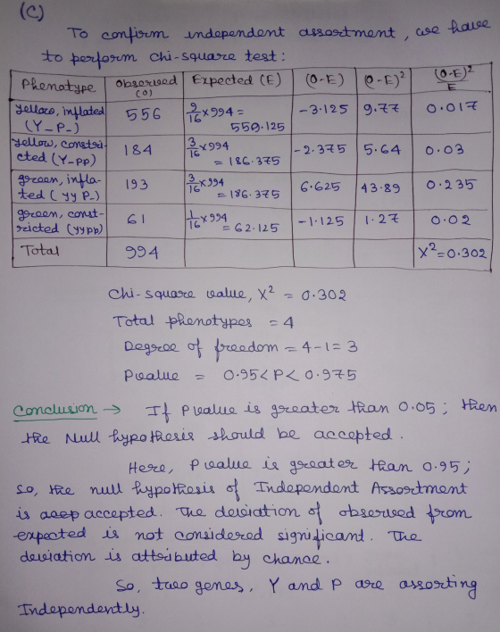 Phenotype yellow, inflated co) 0.017 To confirm independent assortment, we have to perform chi-square test: Obseriood Expecte