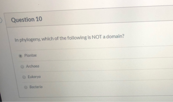 Question 10 In phylogeny, which of the following is NOT a domain? Plantae Archaea Eukarya Bacteria