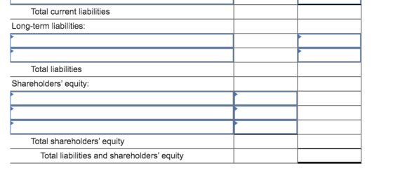 Total current liabilities Long-term liabilities: Total liabilities Shareholders equity: Total shareholders equity Total lia