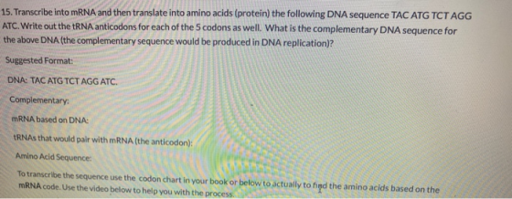 15. Transcribe into mRNA and then translate into amino acids (protein) the following DNA sequence TAC ATG TCT AGG ATC. Write