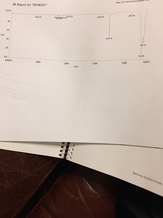 IR Report for HowDY 124.39 650.0 Teaching Assistant initials