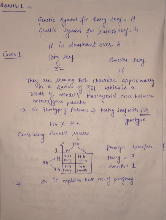 t is dominant over h Cross 1 Smooth leal 32 if are showing bsth charautur approxiwat riol cross betw Cross wing Pinnett vere tth Smooth ro So tt explains our no