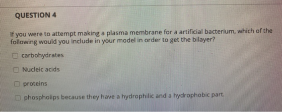 QUESTION 4 If you were to attempt making a plasma membrane for a artificial bacterium, which of the following would you inclu