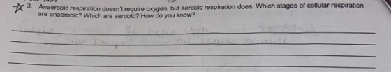 * 3. Anaerobi Anaerobic respiration doesnt require oxygen, but aerobic respiration does. Which stages of cellular respiratio
