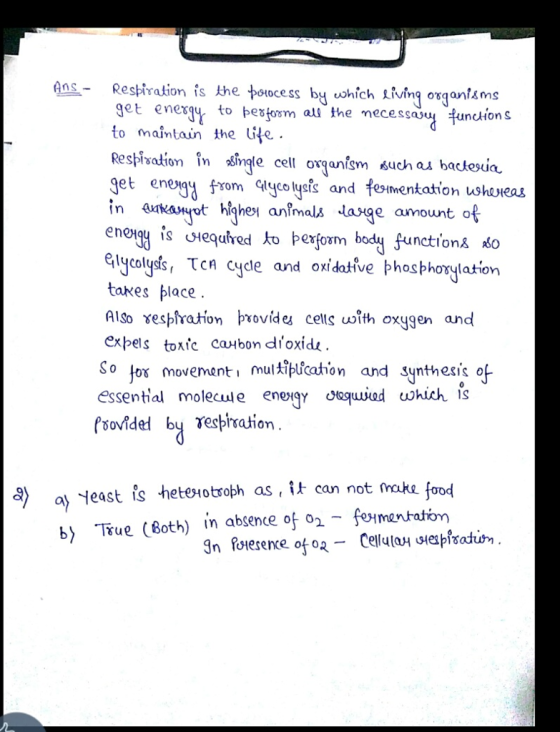 get enerqy to pestosm al the necessaou function s to maintain the te. spsation in ngle cell oxganism such as backesia get enengom ycoyets and feomentation uwhexeas in rkauot highen anlmals age amount of enotqy is çiycolyds, Tcn cycle and oxidative phosbhorylation takes place Also xesplration provides cetls uwith oxygen and expels toxic caHbon dioxide 0 tOY movement mul It ucatio tahon and Synthesis essential molecule enegy ed ukich 1S *) ay least is hete otroph as, can not make bTrue (Both) in absence o eimen menratiom