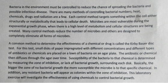 Bacteria in the environment must be controlled to reduce the chance of spreading the bacteria and possible infectious disease. There are many methods of controlling bacterial numbers; heat, chemicals, drugs and radiation are a few. Each control method targets something within the cell either structurally or metabolically that leads to cellular death. Microbes are most vulnerable during the exponential growth phase, when there is a high level of metabolism and cellular structures are being created. Many control methods reduce the number of microbes and others are designed to completely eliminate all forms of microbes. A common method to determine the effectiveness of a chemical or drug is called the Kirby Bauer disc test. For this test, small disks of paper impregnated with different concentrations and different types of antibiotics or chemicals are placed on a lawn of bacteria on an agar plate. The antibiotic or chemical then diffuses through the agar over time. Susceptibility of the bacteria to that chemical is determined by measuring the zone of inhibition, or lack of bacterial growth, surrounding each disk. Basically, the bigger the zone of no bacterial growth the more susceptible the microbe is to that specific chemical. In addition, any resistant bacteria will appear as colonies within the zone of inhibition. This laboratory exercise will investigate the effectiveness of using chemicals to control bacterial growth