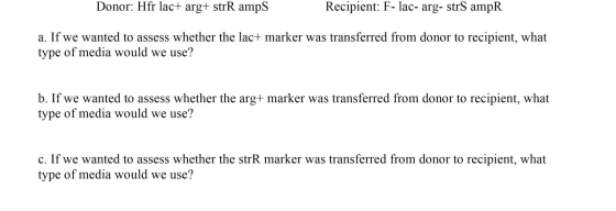 Donor: Hfr lac+ arg+ strR ampS Recipient: F- lac- arg- strS ampR a. If we wanted to assess whether the lac+ marker was transf