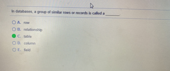In databases, a group of similar rows or records is called a O A. row O B. relationship C. table OD. column O E. field