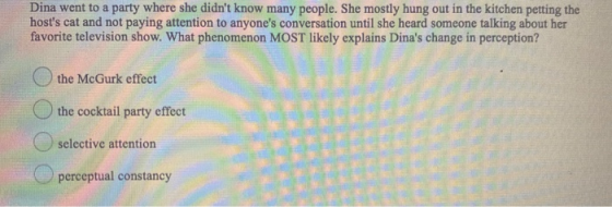 Dina went to a party where she didnt know many people. She mostly hung out in the kitchen petting the hosts cat and not pay