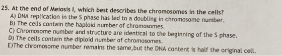 25. At the end of Meiosis I, which best describes the chromosomes in the cells? A) DNA replication in the S phase has led to