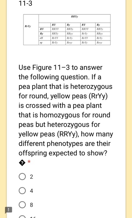 Tall In the Punnett square shown in Figure 11-1, w