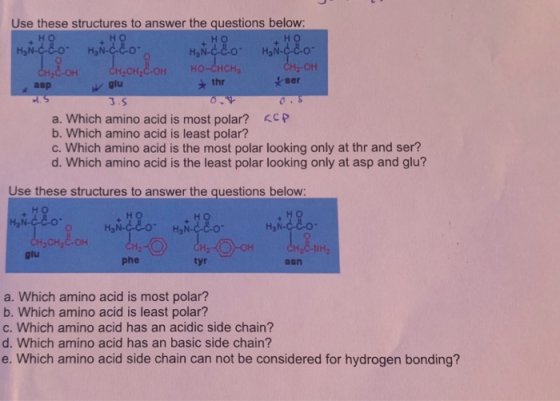 HO HO но CASCHILOH HO-CACHS CH-OH * thr Use these structures to answer the questions below: HO H₂Ñ¢ão H₂N-d.co H₂N-d.co H₂N-d