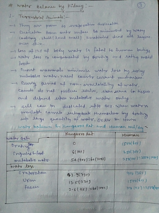 maty Balance by IT T 1 - Terrestrial Animals: - - Thay an pron to evaporation disiccation. - Disication from outs serson is m