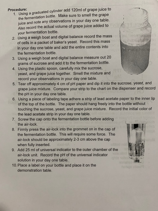 Procedure: 1. Using a graduated cylinder add 120ml of grape juice to the fermentation bottle. Make sure to smell the grape ju