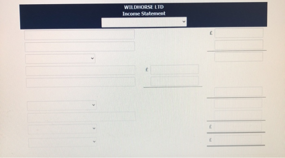 WILDHORSE LTD Income Statement £ E £ E